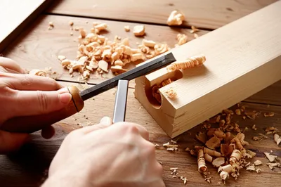 Illustration chips - Image 1