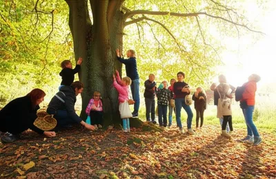 Illustration nutting - Image 1