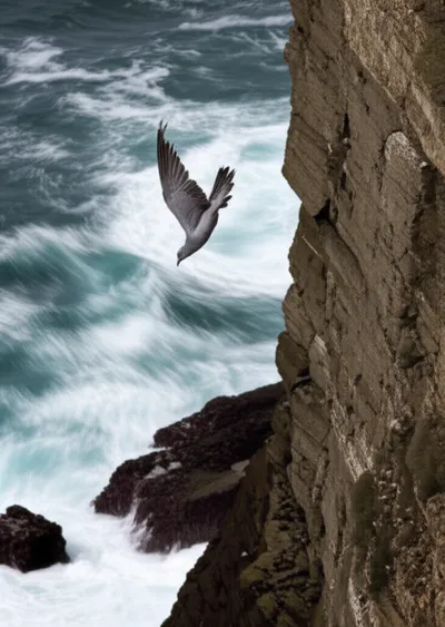 Illustration dove - Image 1