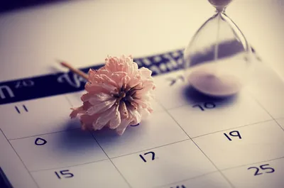 Illustration protracts - Image 1