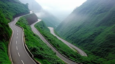 Illustration verged - Image 1