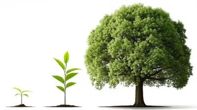 Illustration decades - Image 1