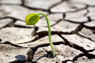 Illustration abortive - Image 1