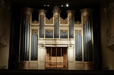 Illustration prospect - Image 1