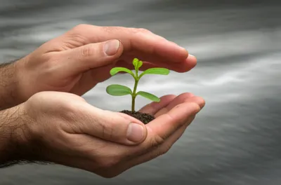 Illustration holding - Image 1