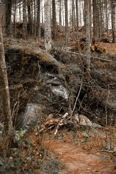 Illustration escarpment - Image 2