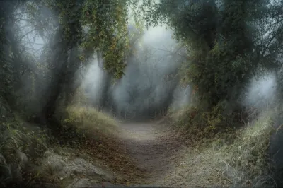 Illustration obscure - Image 1