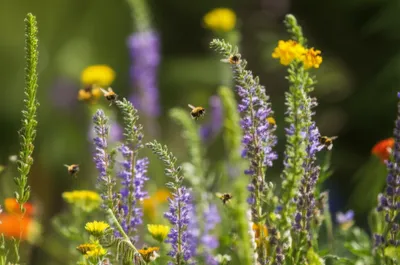 Illustration breeze - Image 1