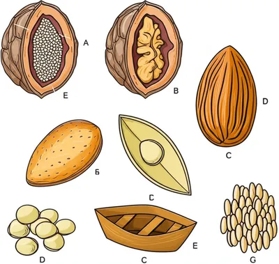 Illustration hulls - Image 1
