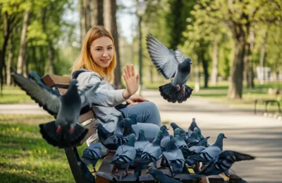 Illustration shooed - Image 1