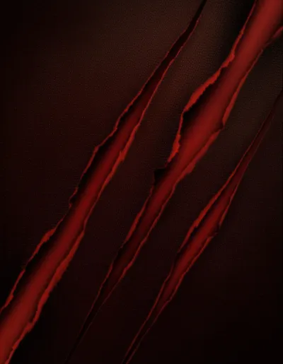 Illustration slashes - Image 2