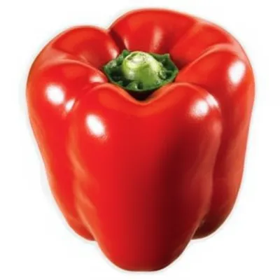 Illustration ripe - Image 1