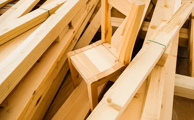 Illustration softwood - Image 1