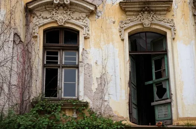 Illustration broken - Image 1