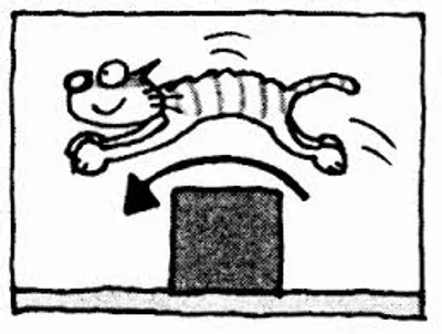 Hình ảnh minh họa override - Ảnh 2