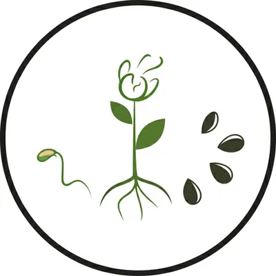 Hình ảnh minh họa monocyclic - Ảnh 1