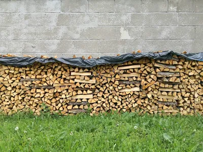 Illustration chopped - Image 2