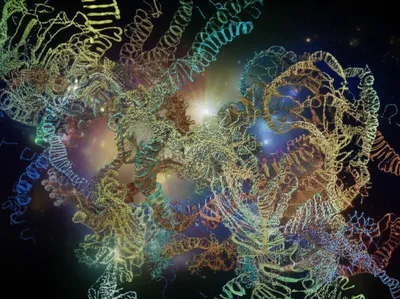 Illustration aligns - Image 1