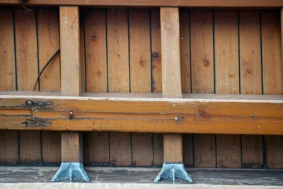 Illustration cants - Image 1