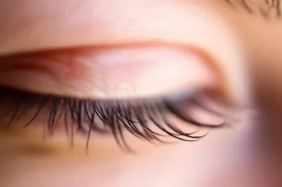Illustration lashes - Image 1