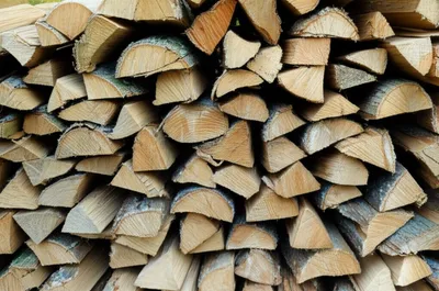 Illustration wood - Image 1