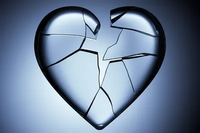 Illustration cut - Image 1