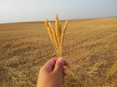 Illustration single - Image 1