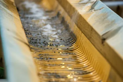 Illustration riffle - Image 1