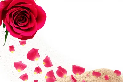 Illustration powdered - Image 1