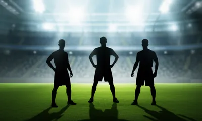 Illustration field - Image 1