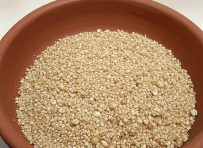 Illustration grout - Image 1