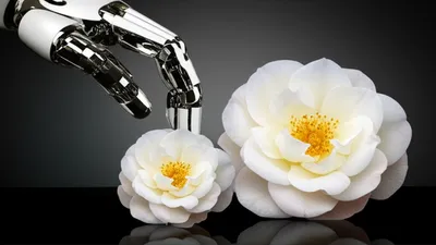 Illustration simulated