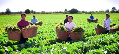 Illustration commendations - Image 1