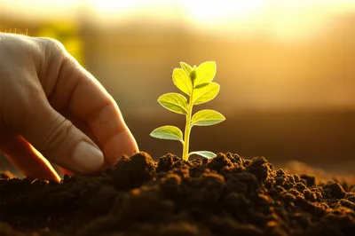 Hình ảnh minh họa initiating - Ảnh 1