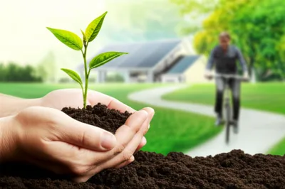 Illustration green - Image 1