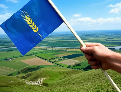 Illustration claimed - Image 1