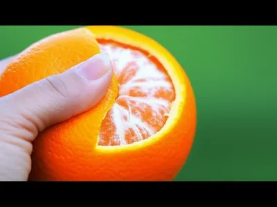 Illustration rinds - Image 1