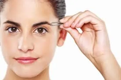 Illustration pluck - Image 3