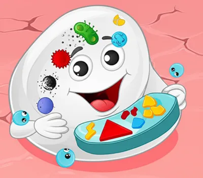 Illustration macrophage