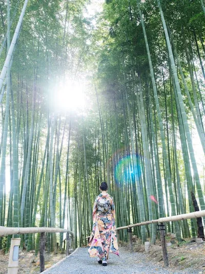 Illustration bamboos - Image 1