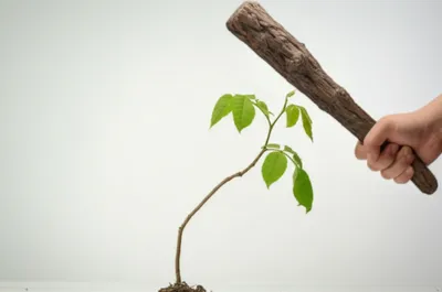 Illustration swaddled - Image 1