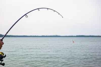 Illustration casting - Image 1