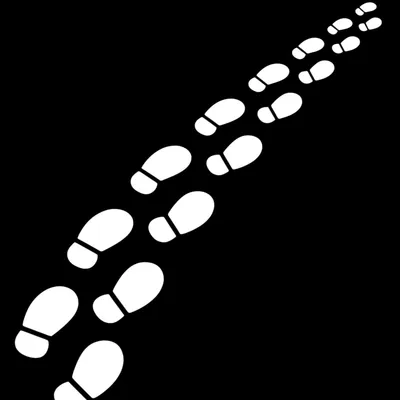 Illustration direction - Image 1