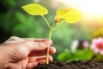 Illustration disciplines - Image 1