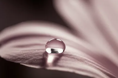 Illustration tender - Image 1