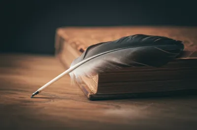 Illustration written - Image 1