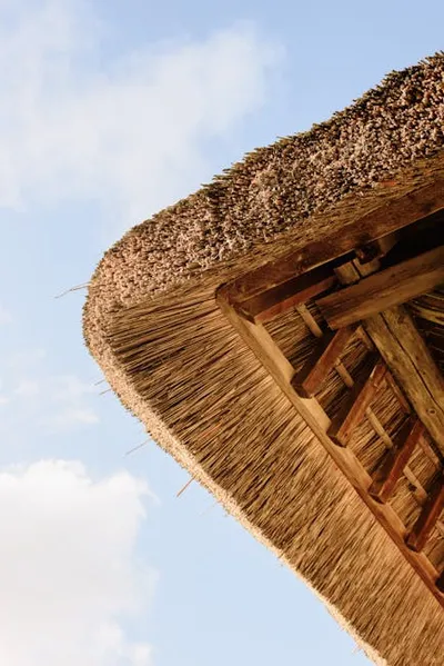 Illustration thatched - Image 2