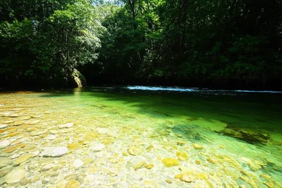 Illustration deepens - Image 1