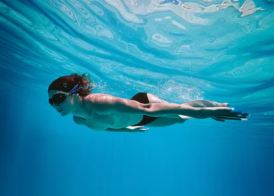 Illustration dive - Image 1