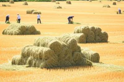 Illustration tipple - Image 1